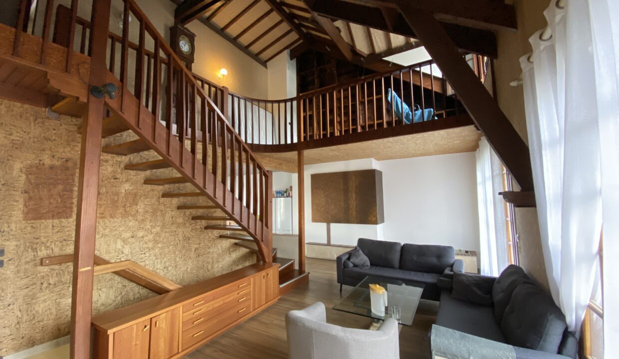 colocation à noisy-le-grand salon